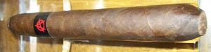 Tatuaje Anarchy