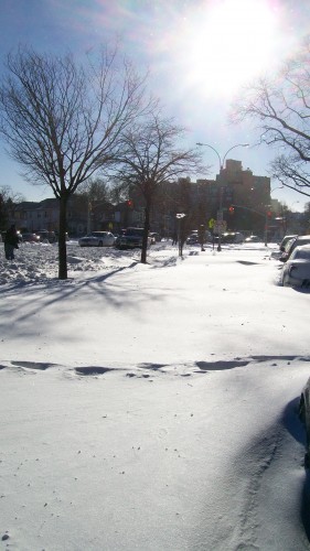 The December Blizzard of '10