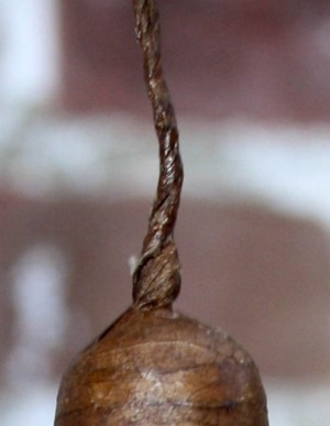 LaBombaFuse