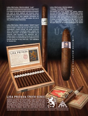 LIGA_UNICO_2011aa