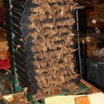 Before the wrapper is applied to the binder and filler they spend time in a press.