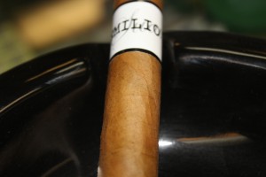 IMG_0770 IMG_0770