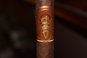 IMG_3934 IMG_3934